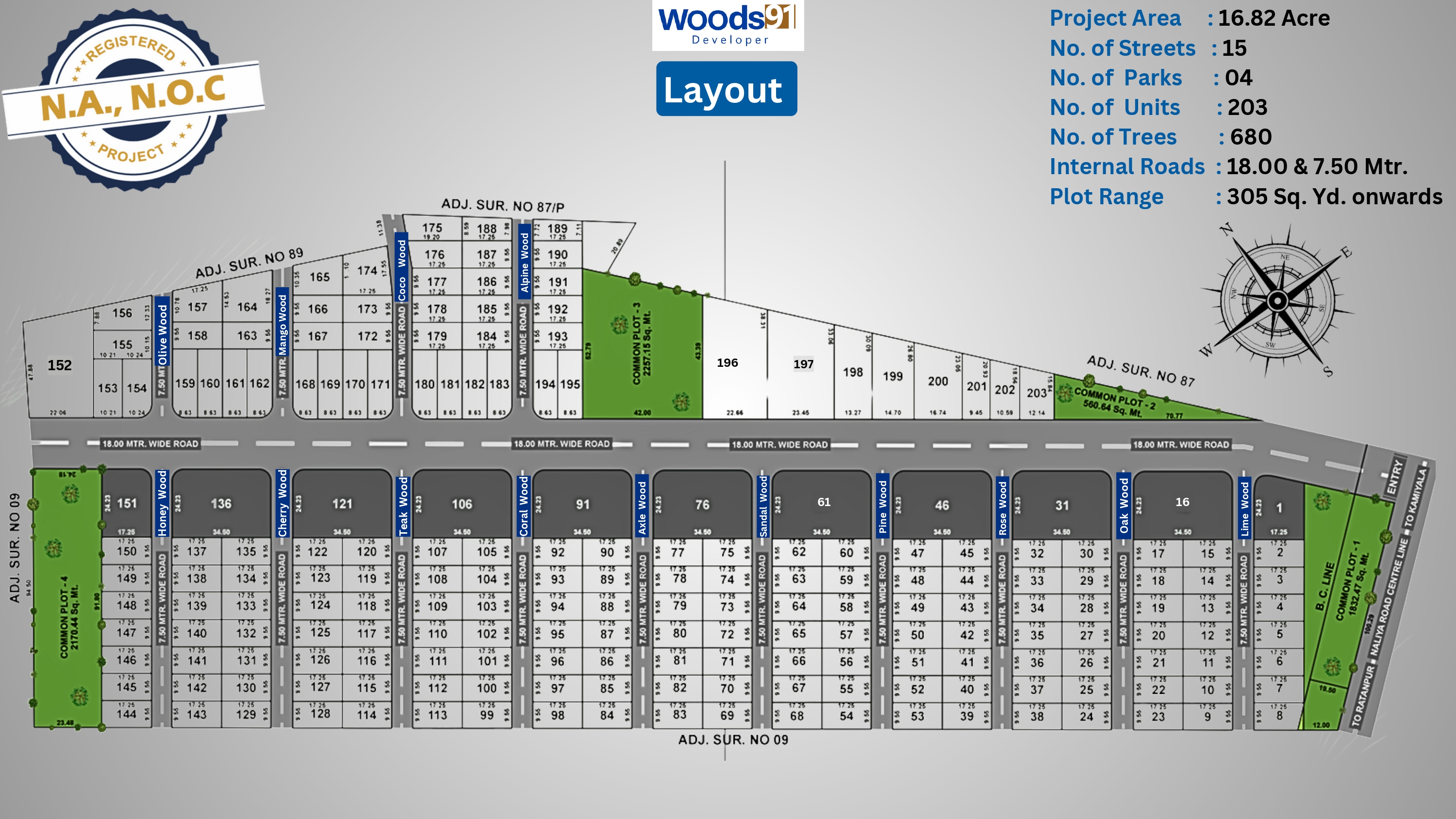 Dholera Site Layout